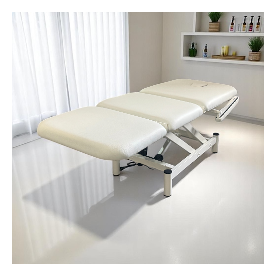Camilla estética eléctrica 3 cuerpos Tec-One Stetic Brazos fisiobelle