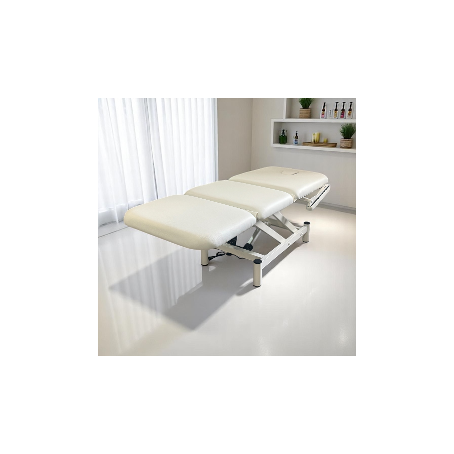 Camilla estética eléctrica 3 cuerpos Tec-One Stetic Brazos fisiobelle